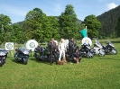 Goldwing_5